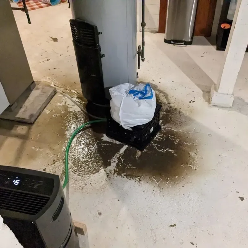 Sewage Backup Cleanup Service in Glide, OR